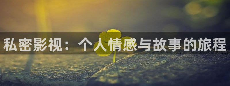 私密影视：个人情感与故事的旅程