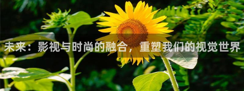 未来：影视与时尚的融合，重塑我们的视觉世界