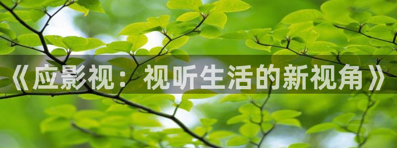 《应影视：视听生活的新视角》