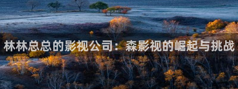 林林总总的影视公司：森影视的崛起与挑战